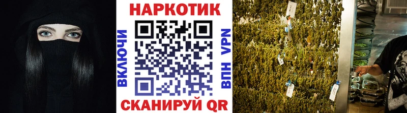 Где можно купить наркотики Сокол Марихуана КОКАИН Меф