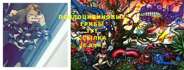 спиды Липки