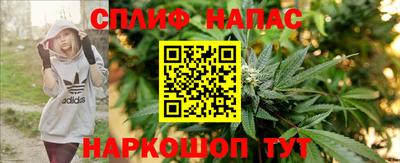 прущие крисы Кингисепп
