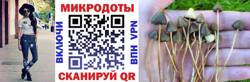 продажа наркотиков  shop официальный сайт  Галлюциногенные грибы MAGIC MUSHROOMS  Сокол 
