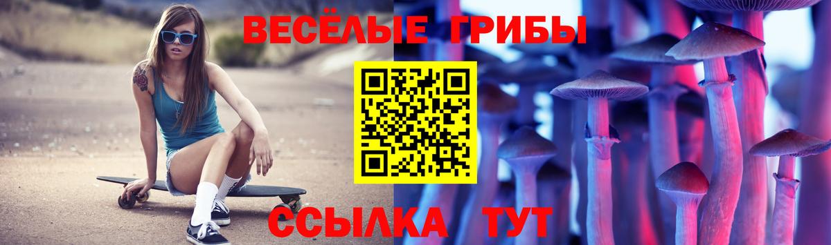 магазин  наркотиков  Вход с VPN  Псилоцибиновые грибы Psilocybe  Сокол  Псилоцибиновые грибы прущие грибы 