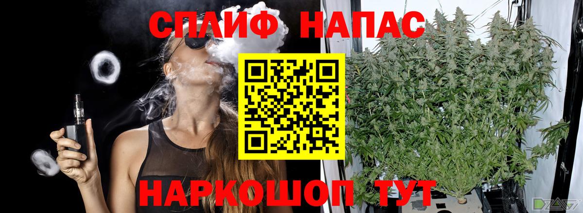 Сокол  Конопля White Widow  Бошки Шишки Amnesia  Канабис гибрид  Вход с VPN  Каннабис тримм 
